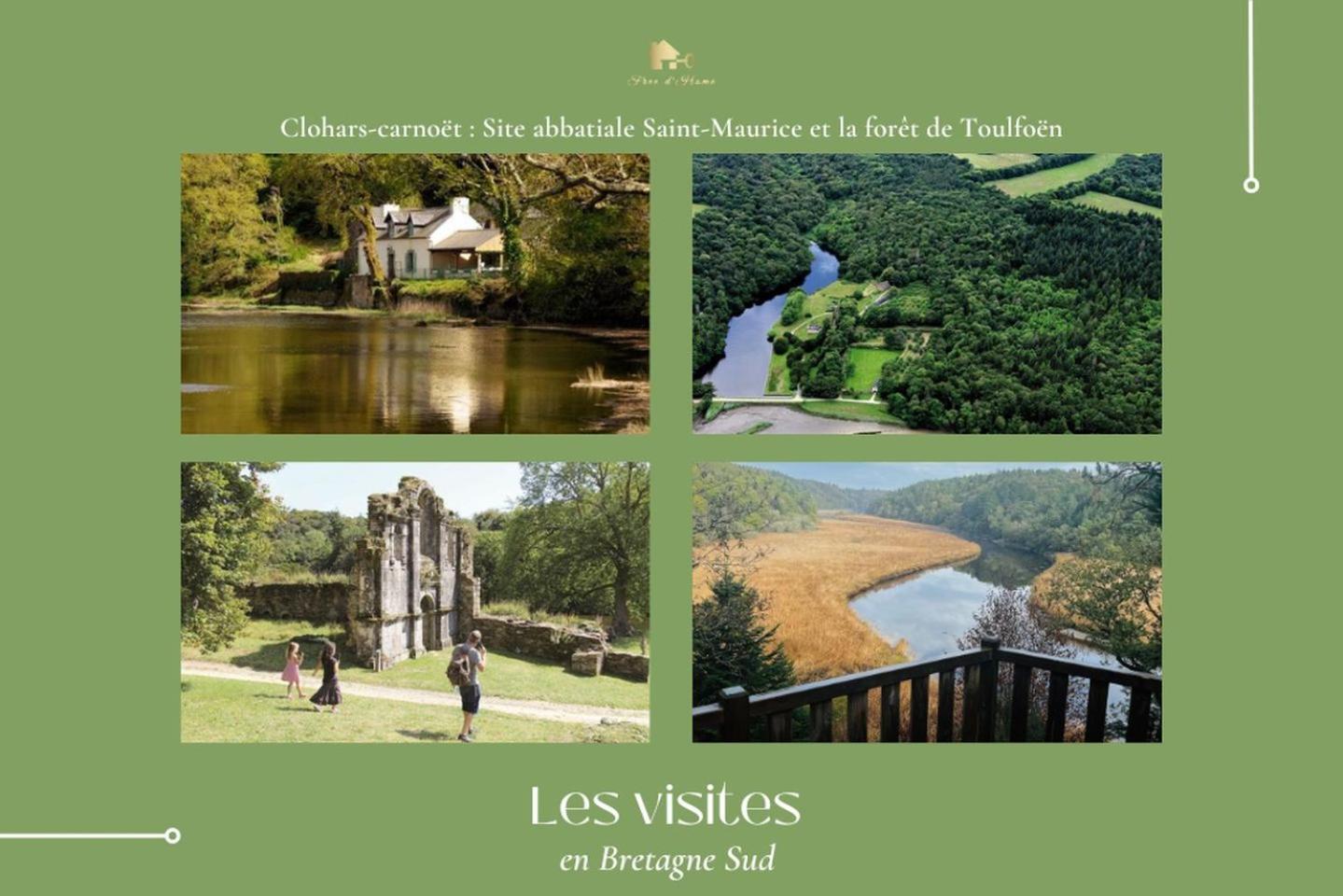 La Maison Bleue,Authenticite, Nature, Simplicite, 2-5 Personnes, Moelan Sur Mer Екстериор снимка